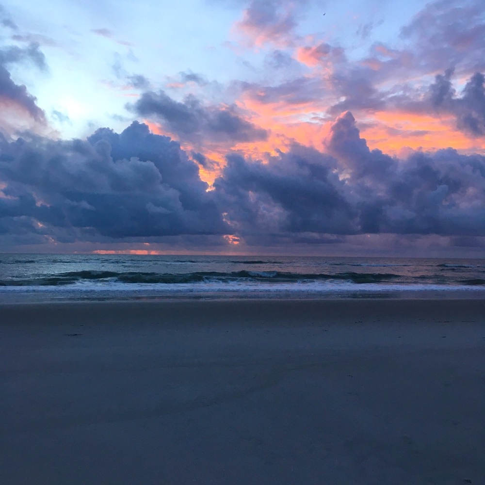 Meet your Posher, Adrianna